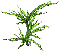 small picture of a robot called Dill in a general configuration